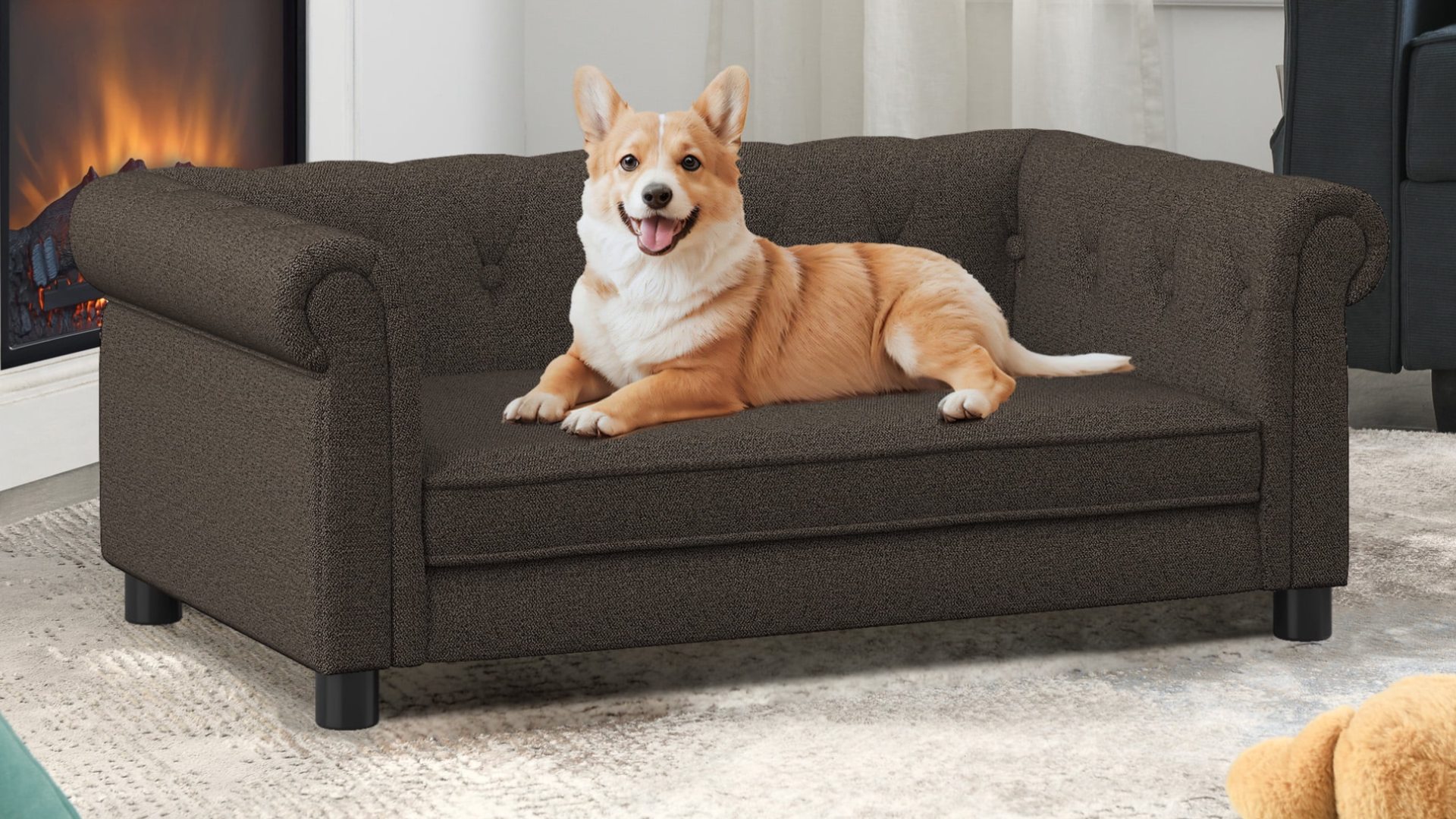 MÁY LỌC KHÔNG KHÍ DÀNH CHO THÚ CƯNG, CHÓ MÈO - BÍ QUYẾT DỌN SẠCH LÔNG VÀ KHỬ SẠCH MÙI HÔI CÙNG COOL C2-UVC