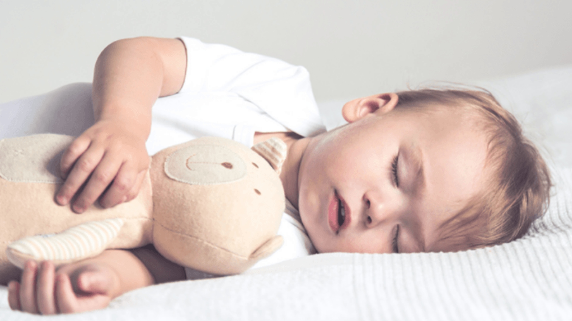 MÁY LỌC KHÔNG KHÍ KHỬ MÙI LÀ GÌ? CẤU TẠO MÀNG LỌC CỦA MỘT MÁY LỌC KHÔNG KHÍ KHỬ MÙI TIÊU CHUẨN