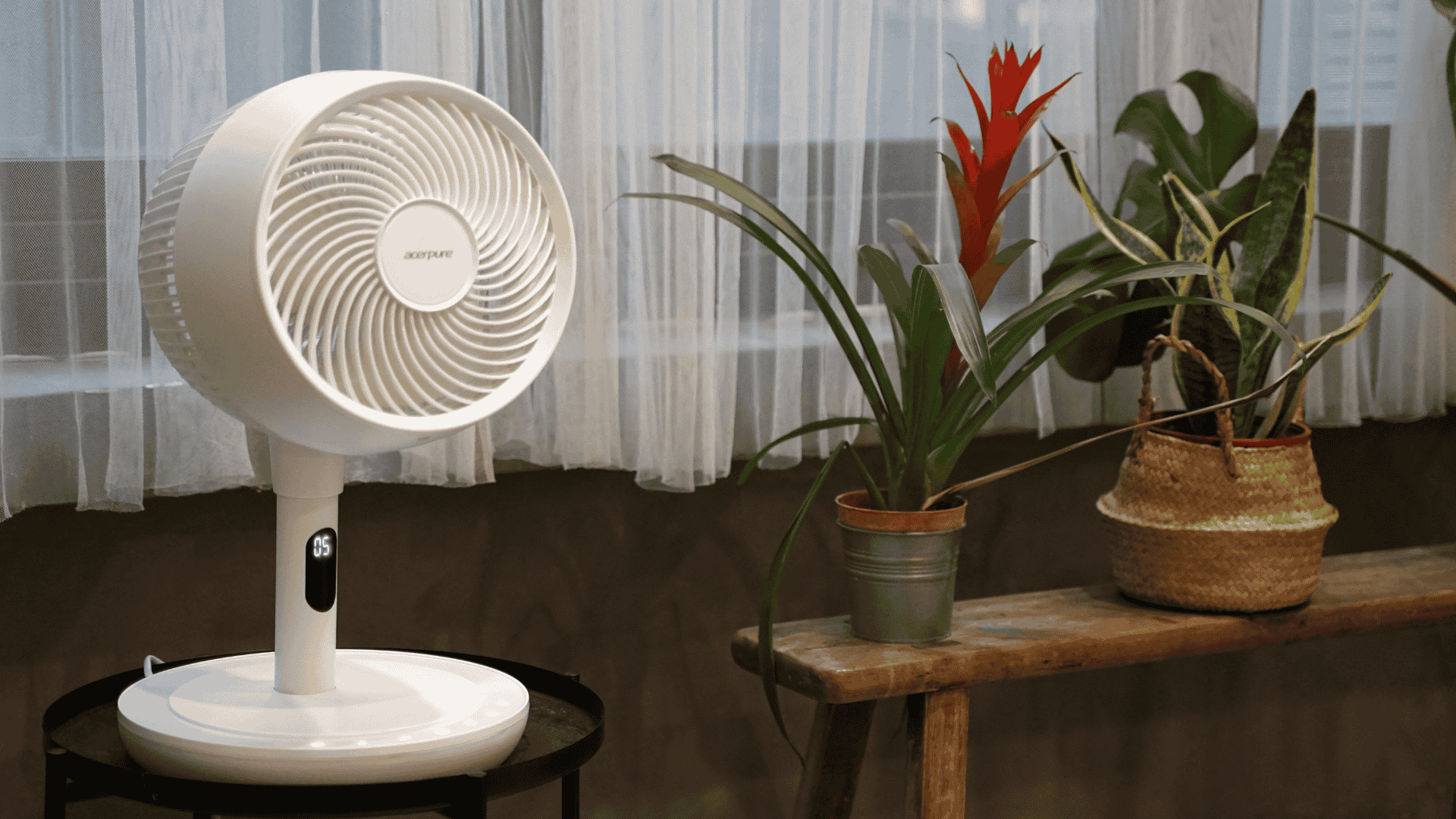 QUẠT ĐỂ BÀN THÔNG MINH ACERPURE - LỰA CHỌN TỐI ƯU CHO KHÔNG GIAN HIỆN ĐẠI