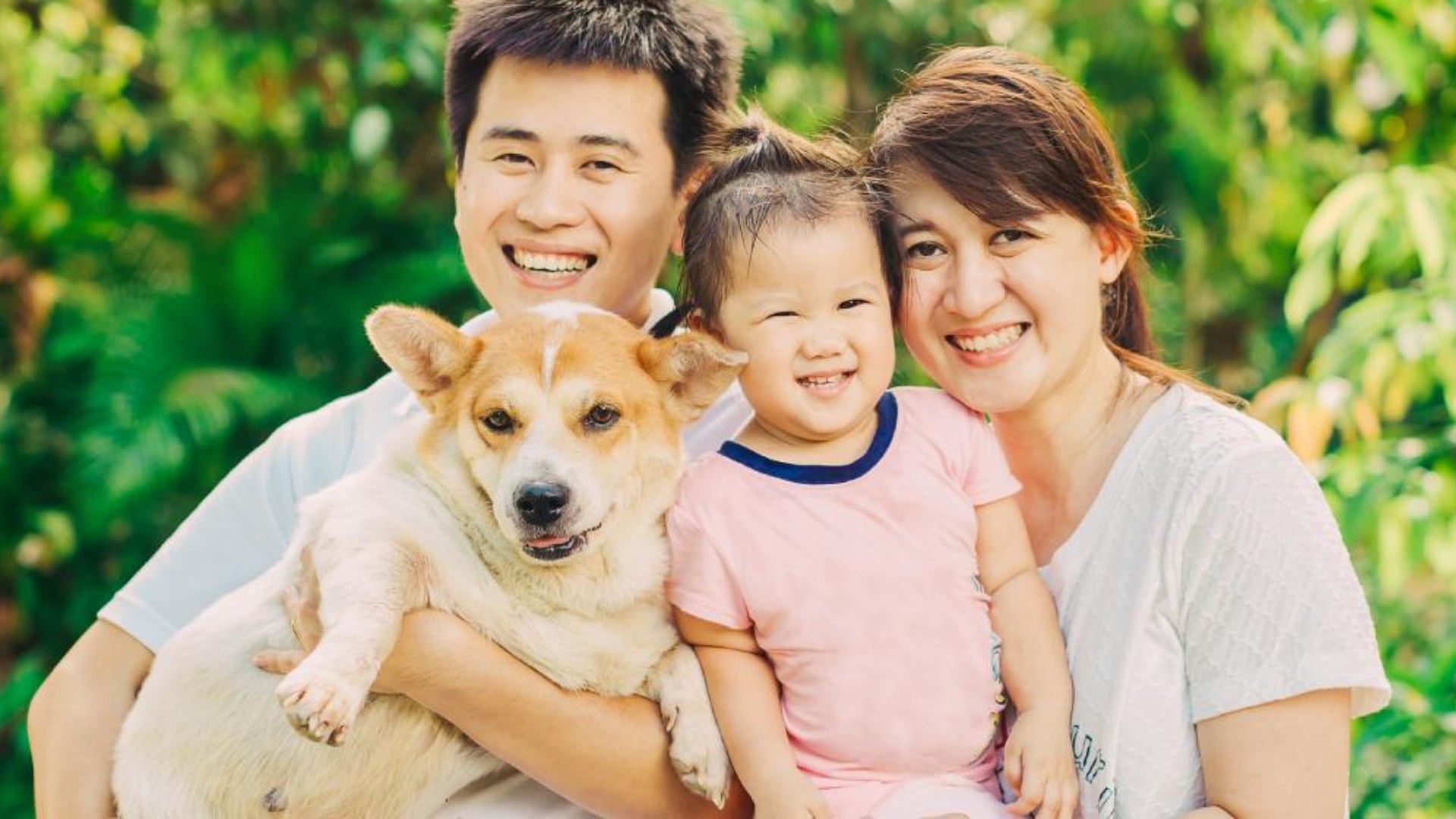 MÁY LỌC KHÔNG KHÍ BỤI MỊN ACERPURE COOL C3 3IN1 - GIẢI PHÁP CHO TOÀN DIỆN NGƯỜI NUÔI THÚ CƯNG