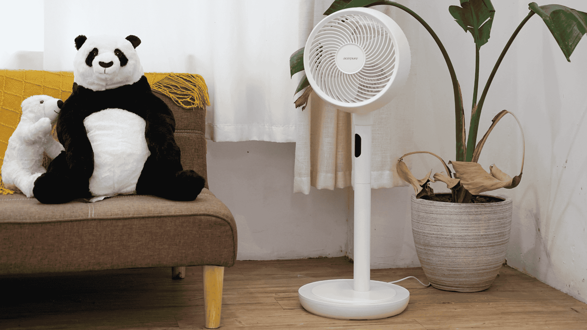 GIỮ KHÔNG GIAN THOÁNG SẠCH VỚI QUẠT ĐỐI LƯU KHÔNG KHÍ ACERPURE COZY F2